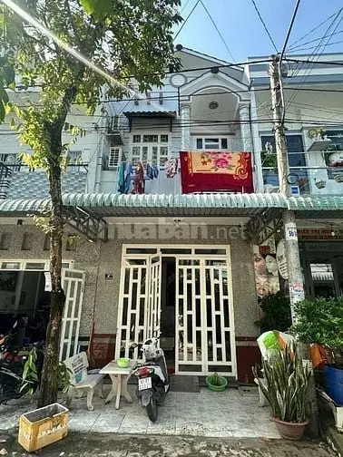 6038478 ảnh đại diện 1