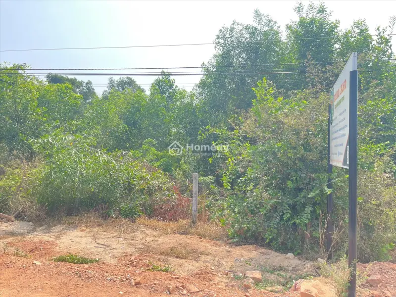 6038505 ảnh đại diện 1