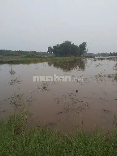 Đất Rộng Ngay Khu Dân Cư Đông Vui