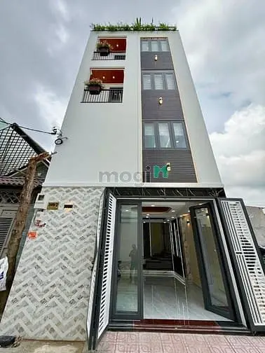 6038453 ảnh đại diện 1