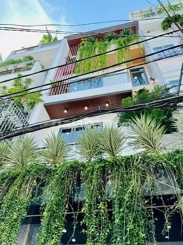 6038568 ảnh đại diện 1