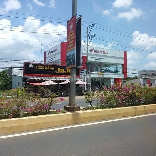6038444 ảnh đại diện 1