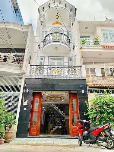 6038497 ảnh đại diện 1