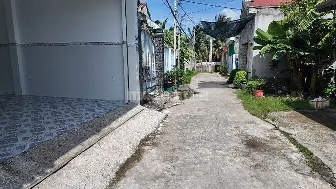 6038562 ảnh đại diện 1