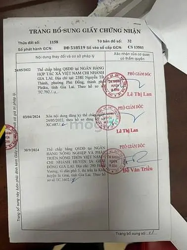 6038700 ảnh đại diện 1