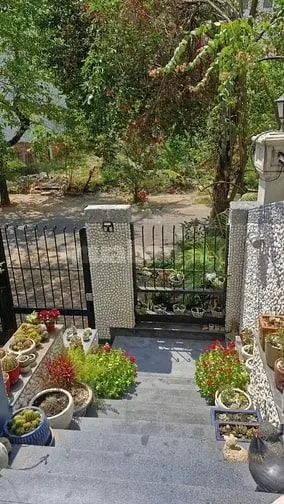 6038707 ảnh đại diện 1