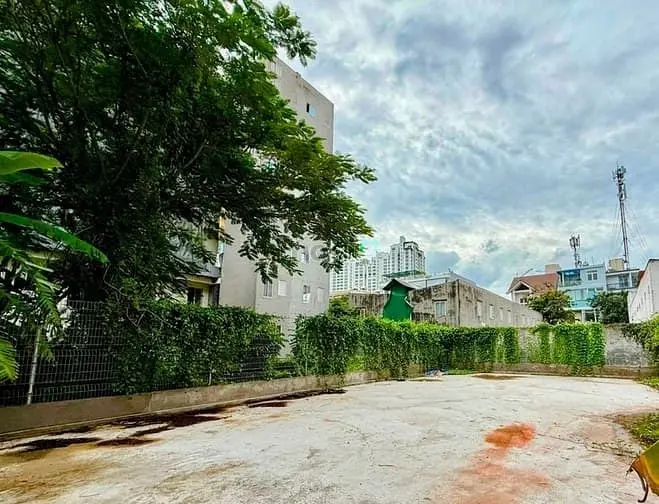 6038758 ảnh đại diện 1