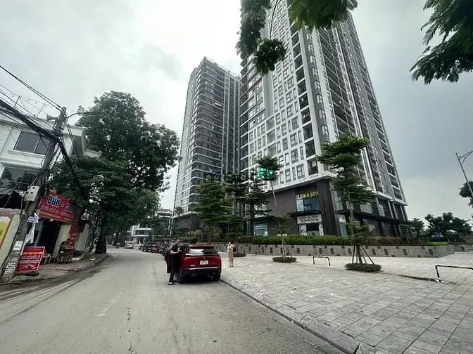 6038667 ảnh đại diện 1