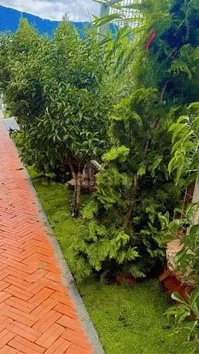 Bán Nhà Vườn 500M2 Phường 7 Đà Lạt 5,2 Tỷ Sổ Riêng Đường Ô Tô