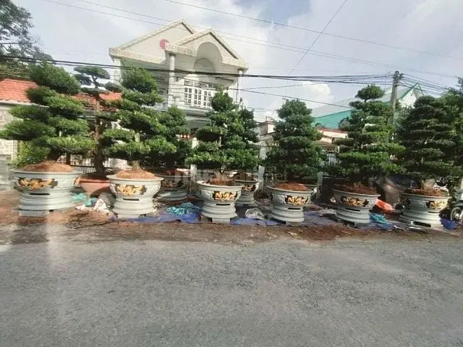 Ấp Mỹ Thạnh A,Xã Long Tiên,Huyện Cai Lậy, Tỉnh Tiền Giang