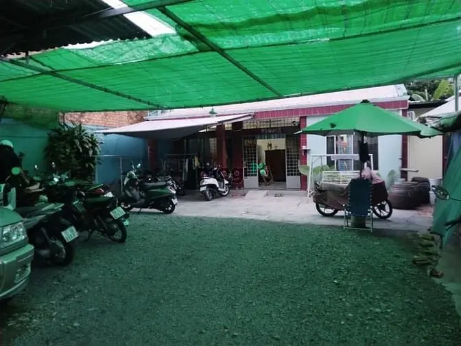 6038764 ảnh đại diện 1