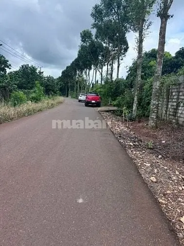 6038781 ảnh đại diện 1