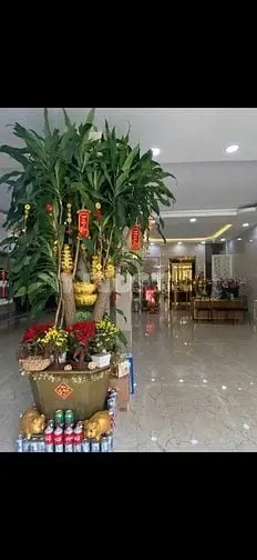Cc Cho Thuê Mtkd Nguyễn Lâm 7 Tầng + Thang Máy Giá 101Tr/ Tháng