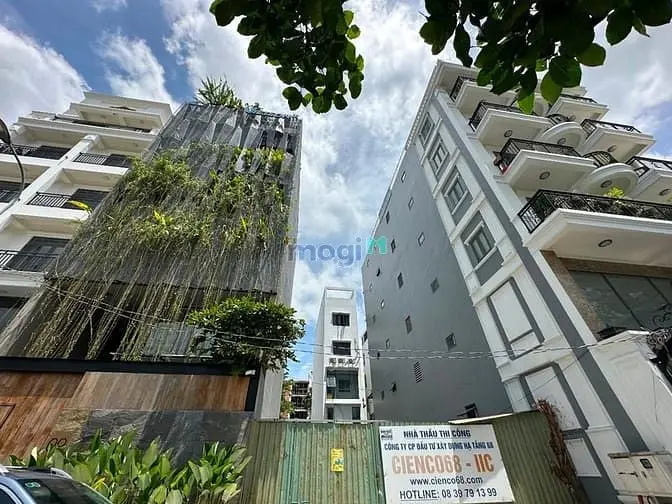 6038676 ảnh đại diện 1