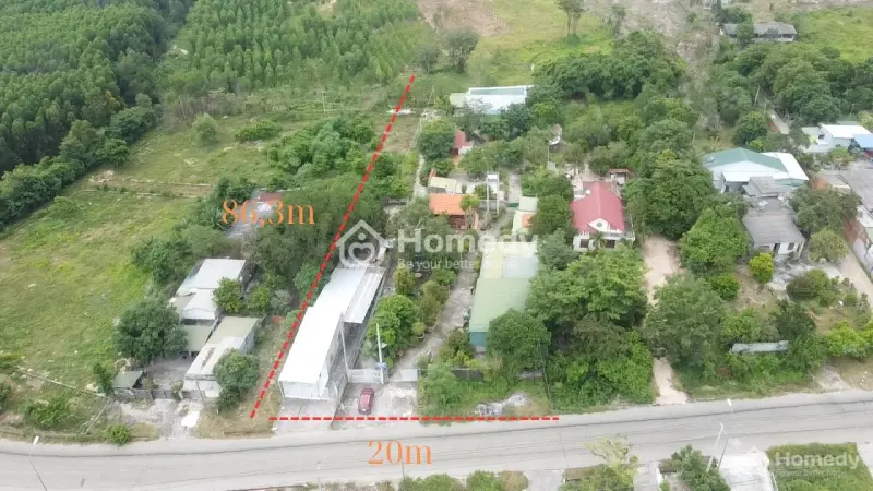 6038790 ảnh đại diện 1