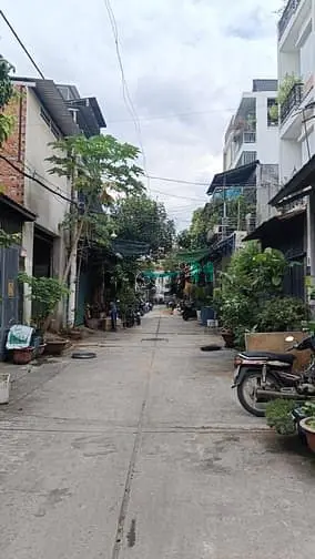 6038867 ảnh đại diện 1