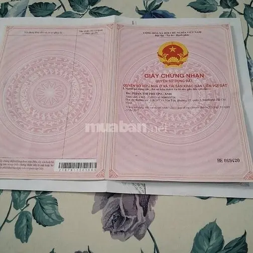 6039099 ảnh đại diện 1