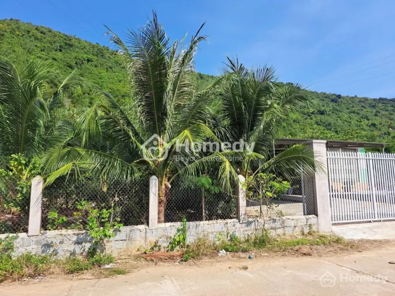Bán Đất Tân Phú, Xã Nam Ninh Hoà, Khánh Hoà, Đường Bê Tông 2 Ô Tô Né Nhau Qh 20M