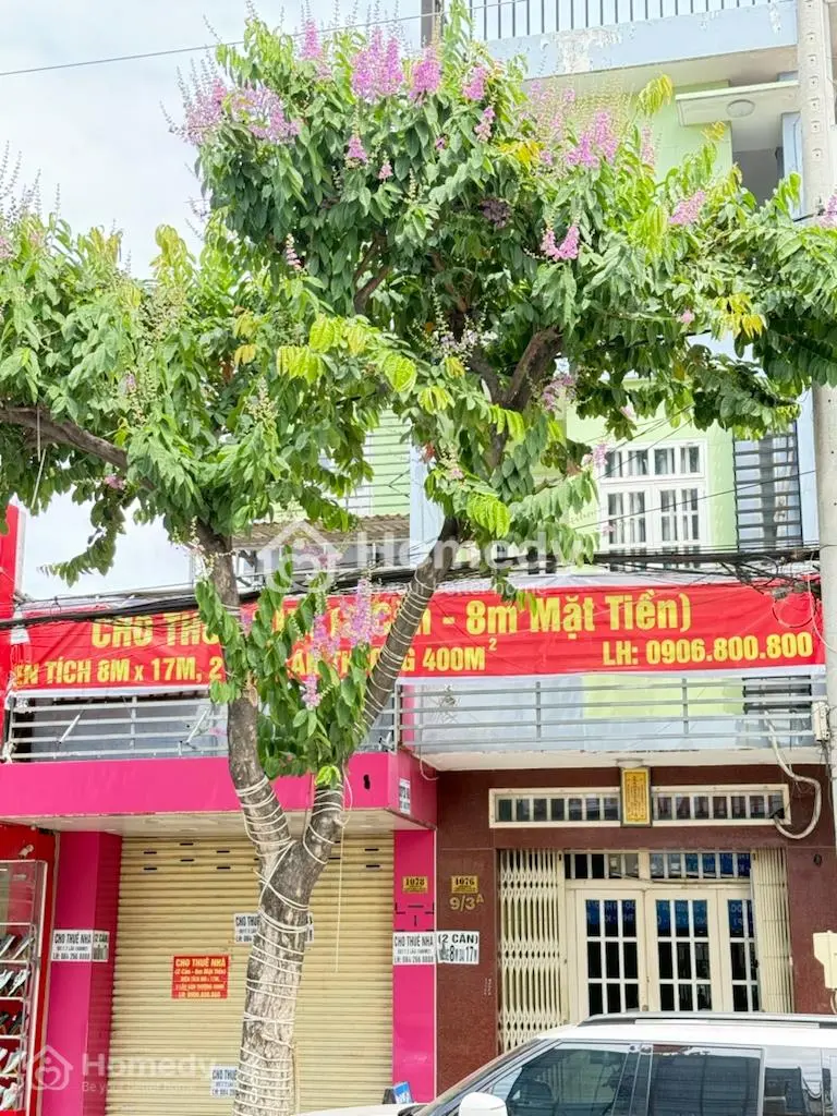 6039121 ảnh đại diện 1