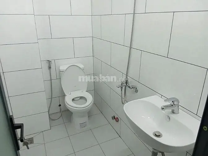 6039077 ảnh đại diện 1