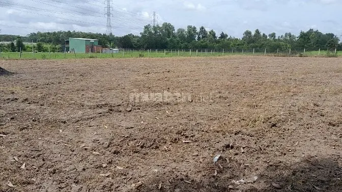 Bán Đất Đẹp Mặt Tiền Đường 31 – Trung Tâm Phát Triển Mới Của Gò Dầu, T