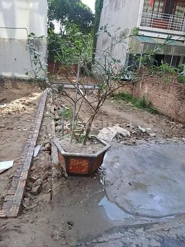 6038876 ảnh đại diện 1