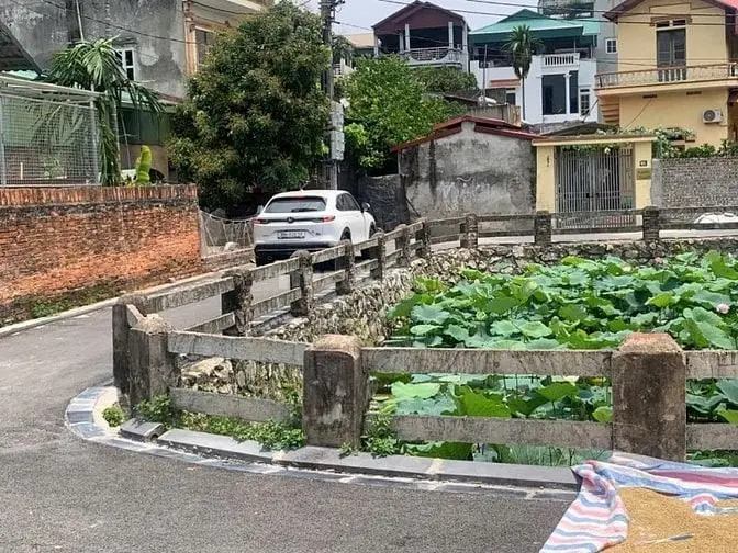 6038988 ảnh đại diện 1