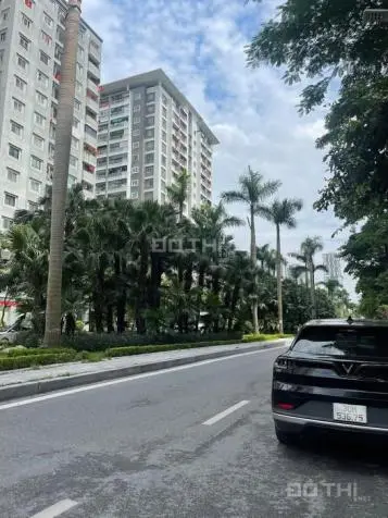 6038897 ảnh đại diện 1