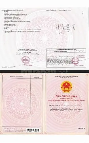 6038907 ảnh đại diện 1