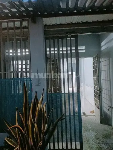 Nhà Cho Thuê Cấp 4, Xã Vĩnh Lộc B, Bc, Hcm