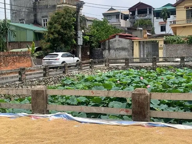Bán Đất View Hồ Sen Thôn Đìa - Nam Hồng - Đông Anh