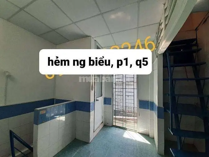Cho Thuê Nhà Nguyên Căn Trong Hẻm Nguyễn Biểu, P1, Q5