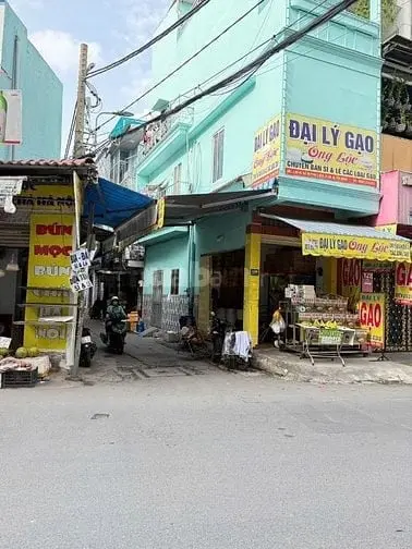 6038969 ảnh đại diện 1