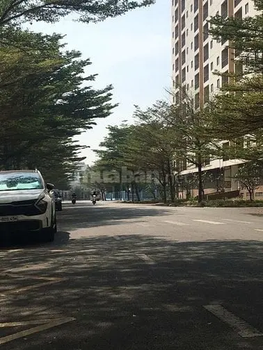 Bán 70M Đất 20.5 Tỷ Mặt Tiền Đường Bạch Đông Ôn P. An Khánh.