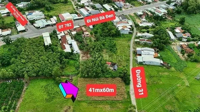 6038992 ảnh đại diện 1