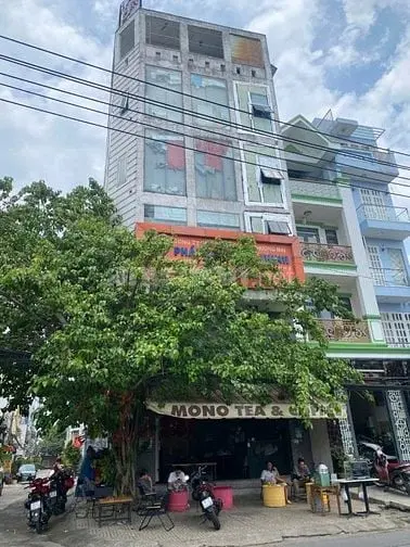 6039223 ảnh đại diện 1