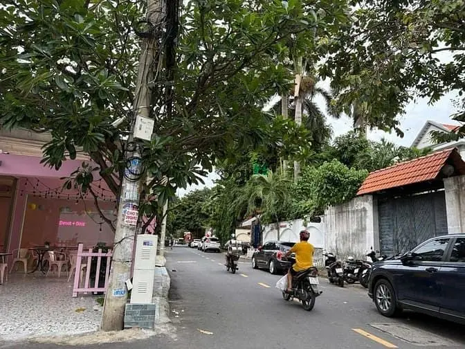 6038882 ảnh đại diện 1