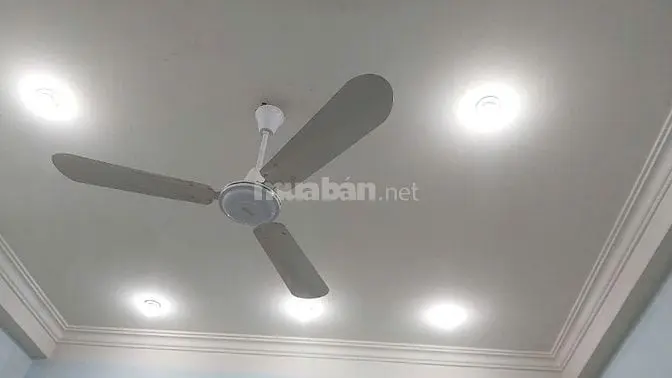 6039079 ảnh đại diện 1
