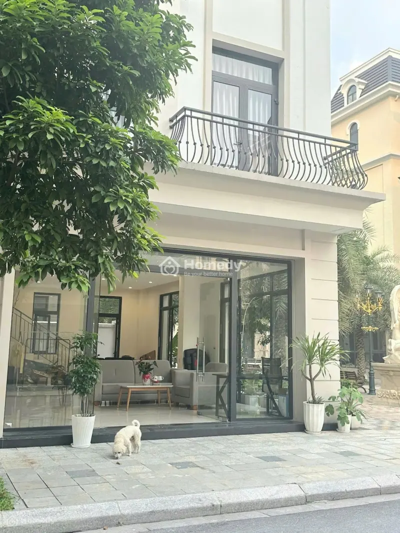 6039021 ảnh đại diện 1