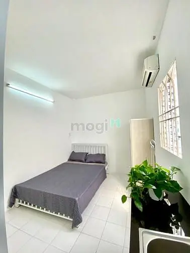 6038898 ảnh đại diện 1