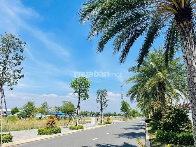 🔥 Chính Chủ Cần Bán Gấp – Đất Nền 90M² Tại Bến Lức, Long An 🔥