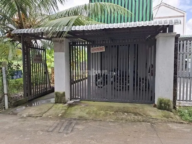 6038991 ảnh đại diện 1