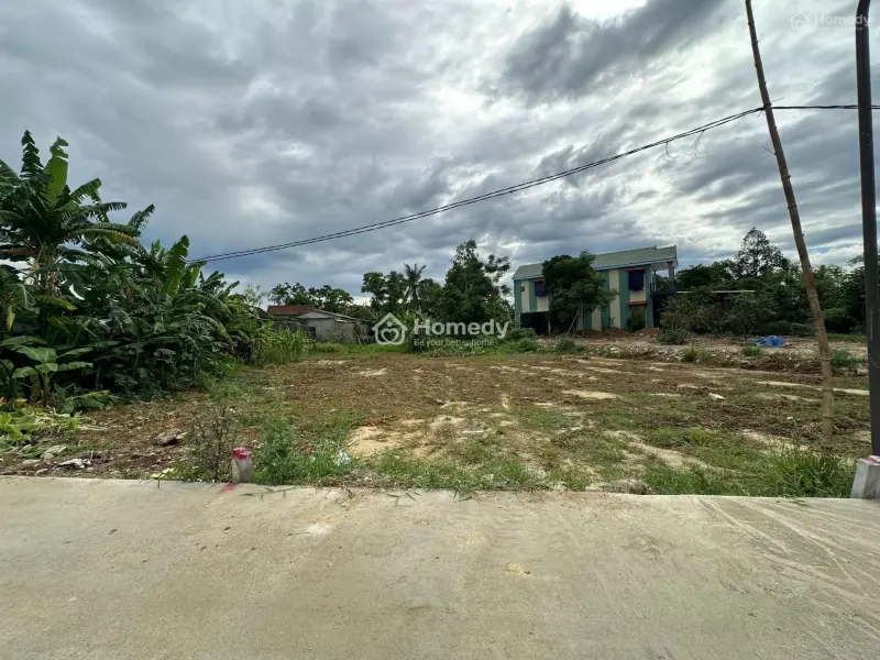 6039636 ảnh đại diện 1