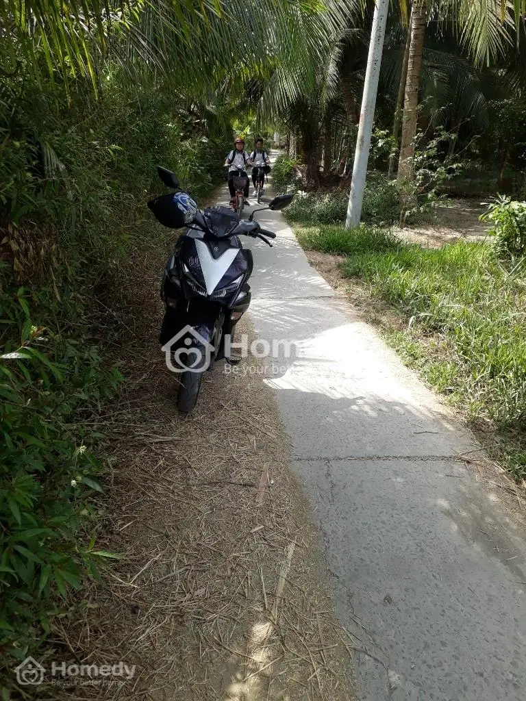 Đất Nền Giá Rẻ Cần Bán