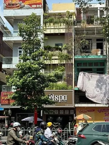 6039675 ảnh đại diện 1