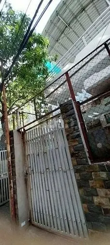 6039608 ảnh đại diện 1