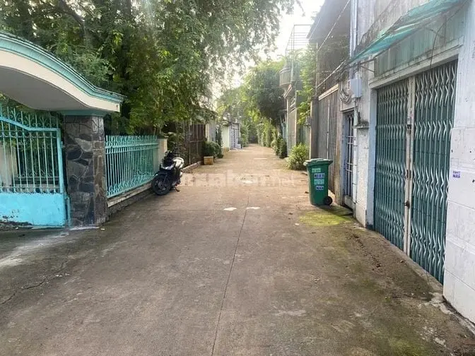 6039517 ảnh đại diện 1