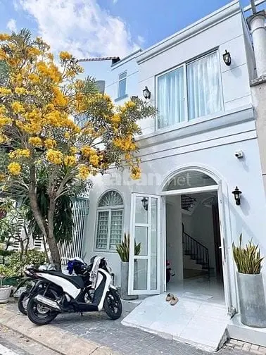 6039544 ảnh đại diện 1