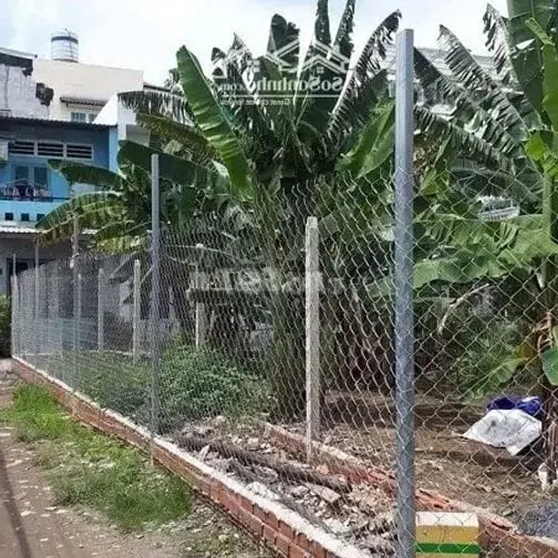 6039415 ảnh đại diện 1