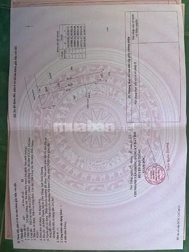 6039363 ảnh đại diện 1
